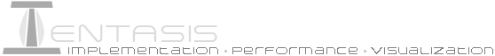 Entasis: implementation, performance, visualization